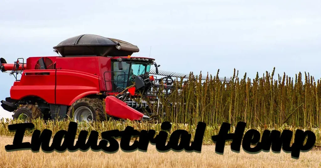 industrial hemp