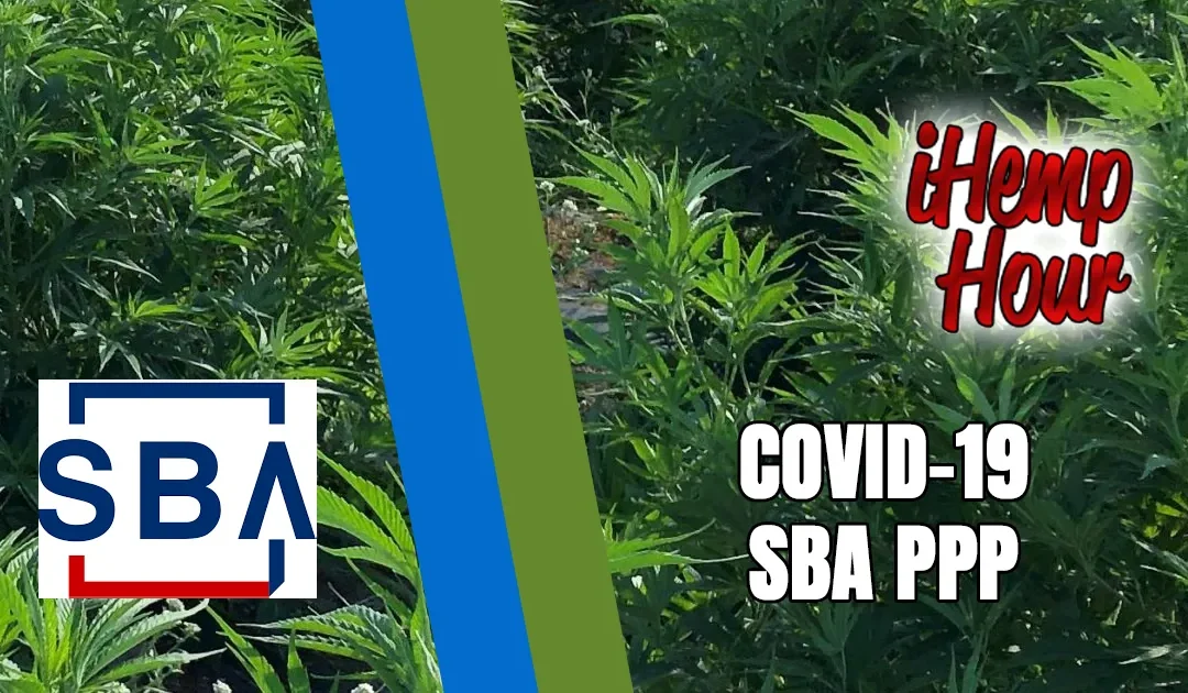 Expert Guidance on COVID-19 Relief for Your Farm