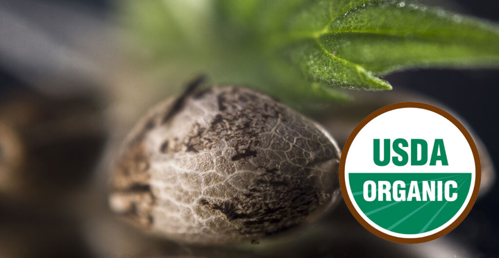 usda organic hemp