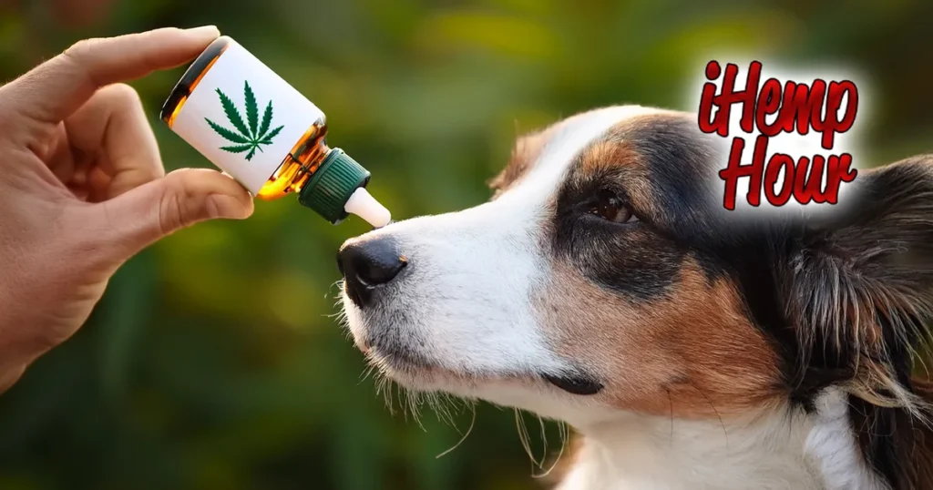 beaver island hemp cbd vet