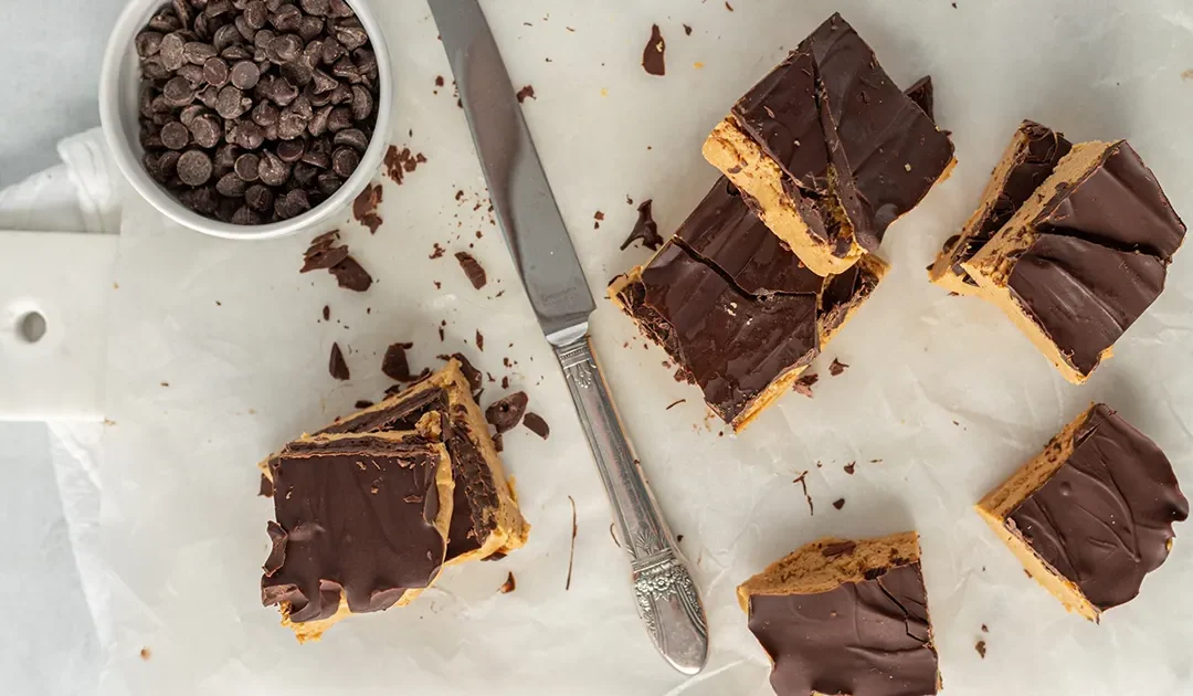 Chocolate-Covered Hemp Seed Protein Bars