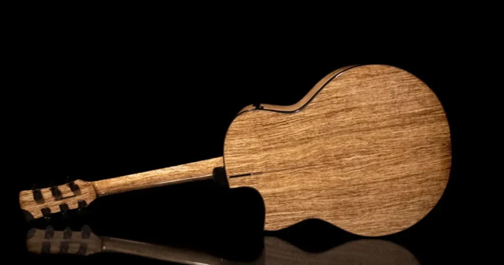 hempwood guitar
