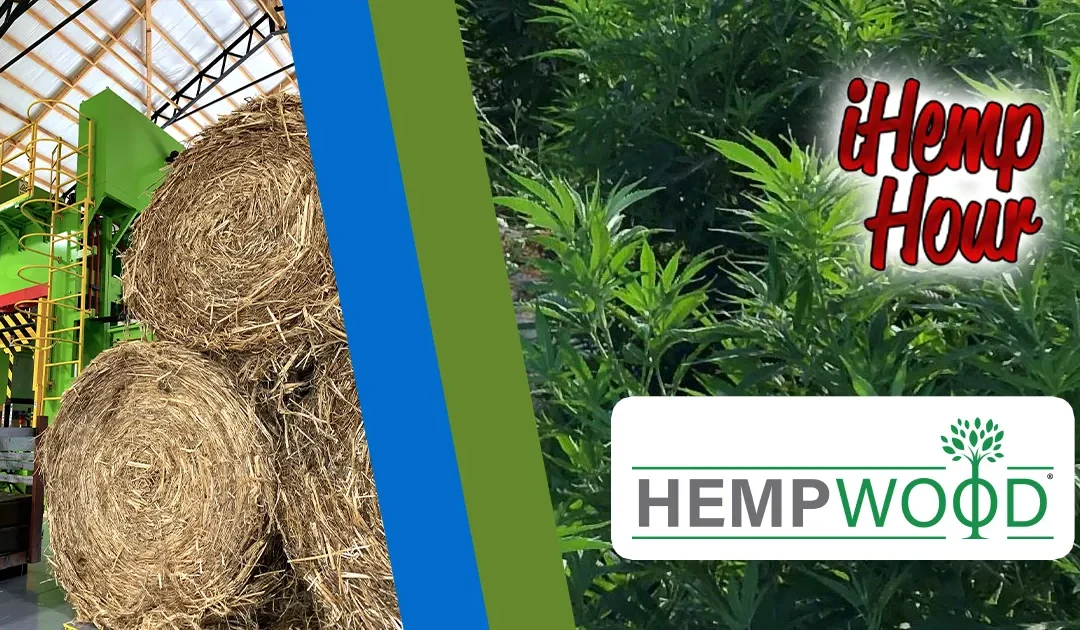 Greg Wilson of Hempwood discusses hemp as a sustainable wood substitute on the iHemp Hour