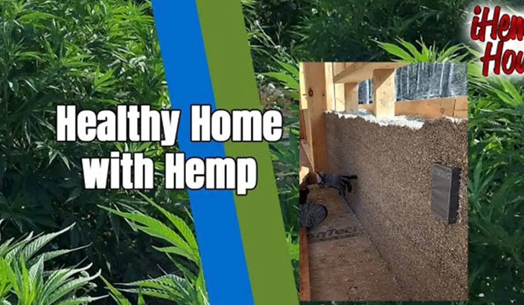 Building a Healthy Home with Hemp