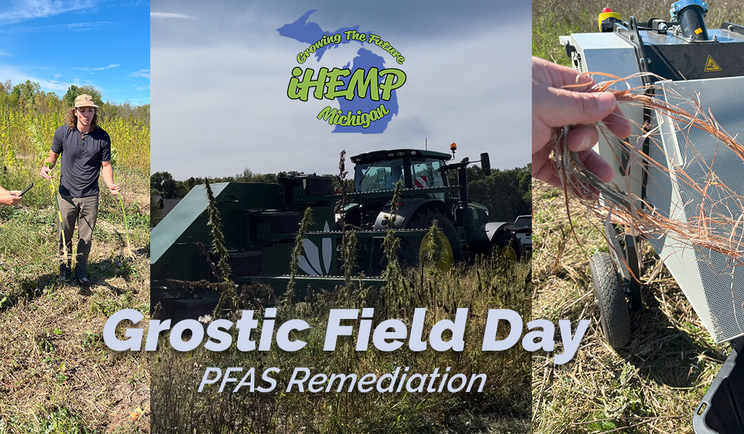 Fighting PFAS with Hemp, Fungi, and Farmers