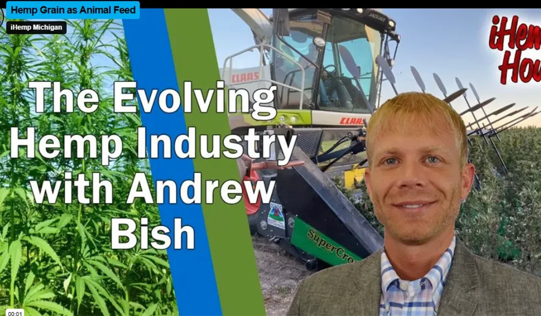 Hemp Grain as Animal Feed – Andrew Bish