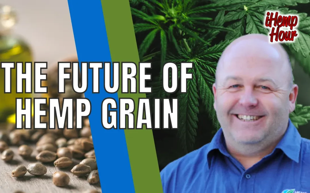 The Future of Hemp Grain